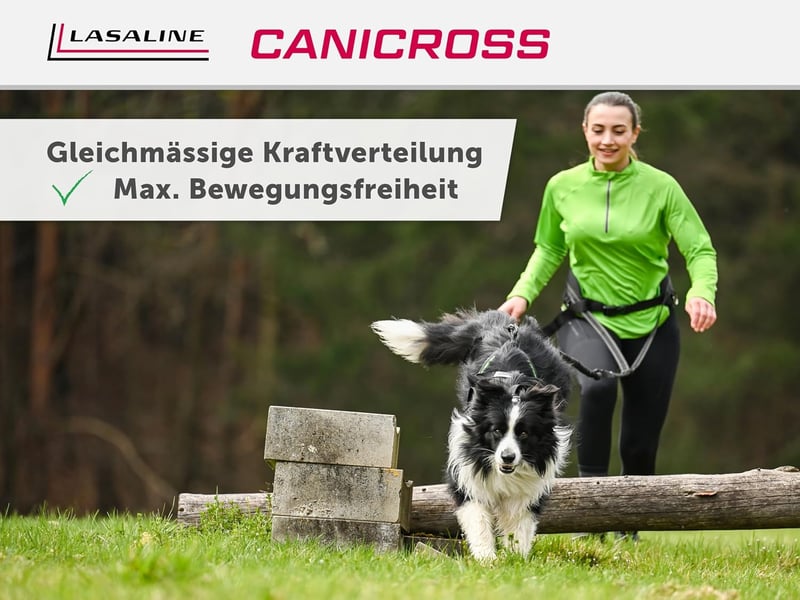LASALINE Kutyahám X-Back Canicross Bikejoring Szánhúzás Fekete-Világoskék