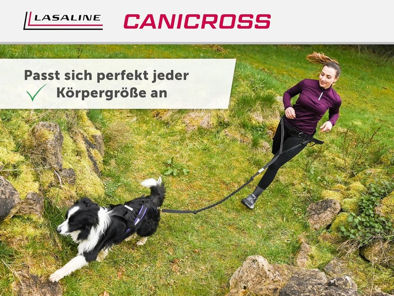 LASALINE Kutyahám X-Back Canicross Bikejoring Szánhúzás Fekete-Világoskék