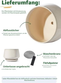 LE TAUCI 30 cm kerámia virágcserép lezöldítéshez, tálcával és lefolyónyílással 5