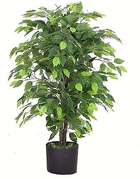 Leaf 90cm Műfikus fa fekete cserépben - nagy bozontos zöld növény - 90 cm, Green Bushy Ficus 4