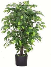 Leaf 90cm Műfikus fa fekete cserépben - nagy bozontos zöld növény - 90 cm, Green Bushy Ficus 1