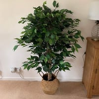 Leaf 90cm Műfikus fa fekete cserépben - nagy bozontos zöld növény - 90 cm, Green Bushy Ficus 3