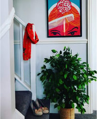 Leaf 90cm Műfikus fa fekete cserépben - nagy bozontos zöld növény - 90 cm, Green Bushy Ficus 2