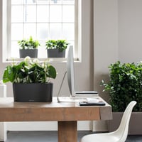 Lechuza Antracit Fémes Virágcserép - Modern Dekoratív Kaspó - 10, Anthracite Metallic, table vessel 9