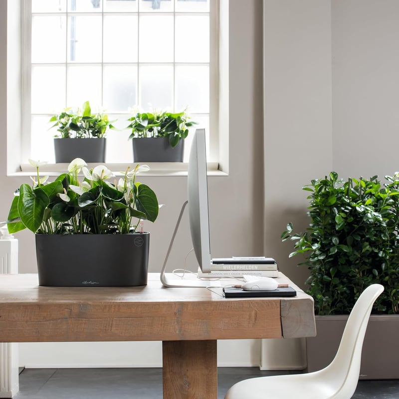 Lechuza Antracit Fémes Virágcserép - Modern Dekoratív Kaspó - 10, Anthracite Metallic, table vessel