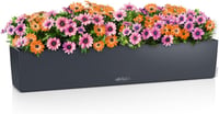LECHUZA Balcony Planter Colour 100 Slate Grey önöntözős balkonláda vízszintjelzővel - Darkslategray 2