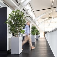 Stĺpový kvetináč Lechuza Canto Color Tower 40 – kamenná sivá – 40x40x76 cm – 29-litrový samozavlažovací systém 8