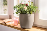 Lechuza CLASSICO 21 öntözőedény homokbarna, beltéri és kültéri virágcseréphez - D21 H20 cm, Sand Brown 6