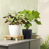 Lechuza Classico Color 21 samozalijevajuća posuda za cvijeće - škriljasto siva, promjer 21 cm 8