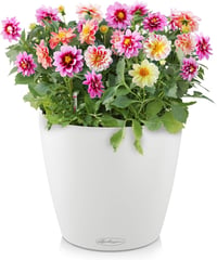 Lechuza Classico Colour 18 fehér modern kaspó - 19 x 19 x 17 cm, White 2
