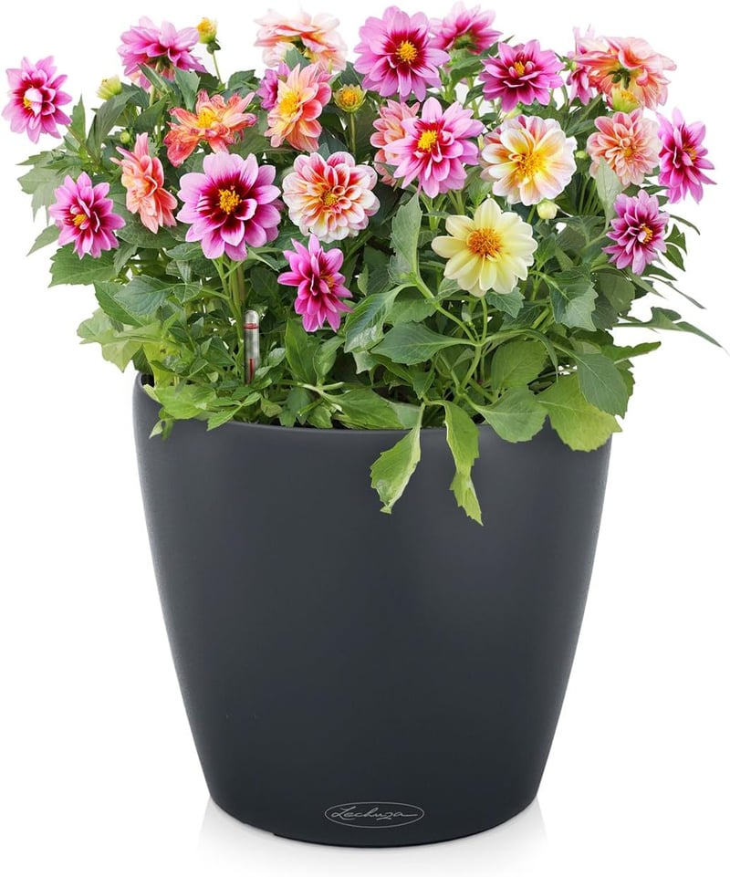 Ghiveci cu autoudare Lechuza Classico Colour 18 Gri ardezie - 19 x 19 x 17 cm, Darkslategray