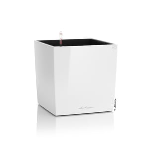 Ghiveci Lechuza CUBE Premium 50, alb lucios, cu sistem de auto-irigare și cuvă interioară, pentru uz interior și exterior
