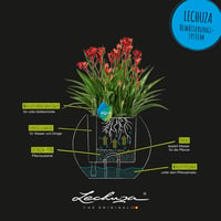 Ghiveci cu sistem de auto-irigare Lechuza Puro Color 20 - Maro nisipiu 4