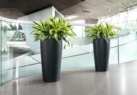LECHUZA Rondo Premium 40 Bazalt Szürke Öntözőrendszeres Növénytartó Oszlop 40x75cm 6