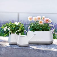 Lechuza Yula öntözőkanna 1,7 literes műanyag csepegésvédelem - 30x14x21.5 cm, White Pearl Rose Semi-matte 6