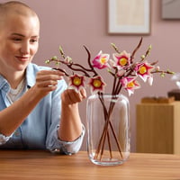 LEGO Botanicals Magnóliové konáre 11510 – Kvetinová dekoratívna stavebnica pre dospelých – 5 umelých kvetov na skrášlenie obývačky alebo spálne – Kreatívne 8