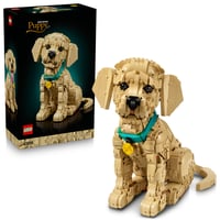LEGO Icons 11384 Stavebnica šteňaťa zlatého retrievera pre dospelých – 3D figúrka zvieraťa na poličku alebo pracovný stôl – farebný obojok – 30 cm 1