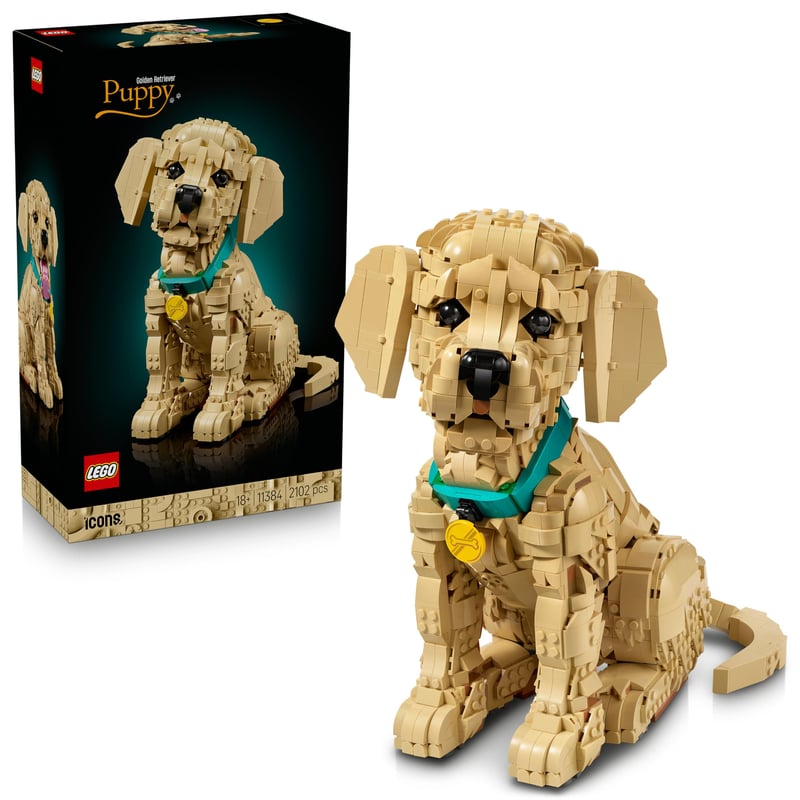 LEGO Icons 11384 Stavebnica šteňaťa zlatého retrievera pre dospelých – 3D figúrka zvieraťa na poličku alebo pracovný stôl – farebný obojok – 30 cm