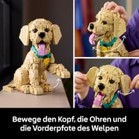 LEGO Icons 11384 Stavebnica šteňaťa zlatého retrievera pre dospelých – 3D figúrka zvieraťa na poličku alebo pracovný stôl – farebný obojok – 30 cm 5