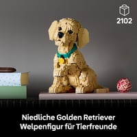 LEGO Icons 11384 Stavebnica šteňaťa zlatého retrievera pre dospelých – 3D figúrka zvieraťa na poličku alebo pracovný stôl – farebný obojok – 30 cm 3