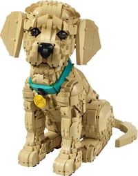 LEGO Icons 11384 Stavebnica šteňaťa zlatého retrievera pre dospelých – 3D figúrka zvieraťa na poličku alebo pracovný stôl – farebný obojok – 30 cm 9