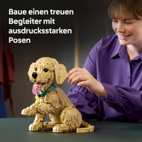 LEGO Icons 11384 Stavebnica šteňaťa zlatého retrievera pre dospelých – 3D figúrka zvieraťa na poličku alebo pracovný stôl – farebný obojok – 30 cm 4