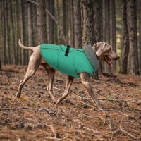 LeLePet Vízálló Téli Kutyakabát Reflektoros Puffer Dzseki M Zöld 8