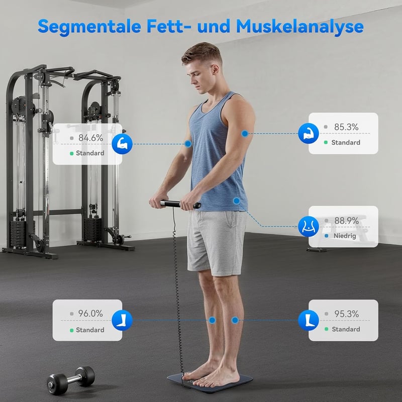 Lepulse P1 testösszetétel mérleg kézi szenzorokkal, 24 felhasználó, testzsír és izomtömeg mérés