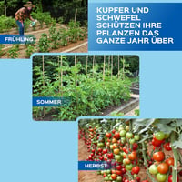 LERAVA Réz és Kén Fungicid Spray 700ml - Lisztharmat Elleni Permetszer Rózsához, Szőlőhöz, Gyümölcsfákhoz 8