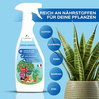 LERAVA Réz és Kén Fungicid Spray 700ml - Lisztharmat Elleni Permetszer Rózsához, Szőlőhöz, Gyümölcsfákhoz 4
