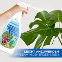 LERAVA Réz és Kén Fungicid Spray 700ml - Lisztharmat Elleni Permetszer Rózsához, Szőlőhöz, Gyümölcsfákhoz 2