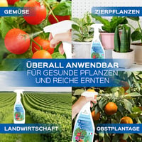 LERAVA Réz és Kén Fungicid Spray 700ml - Lisztharmat Elleni Permetszer Rózsához, Szőlőhöz, Gyümölcsfákhoz 5