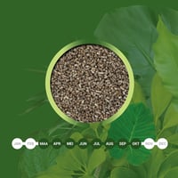 LERAVA Zöld Növénytáp 800g - Szerves Pellet Műtrágya Sárgulás Ellen 5