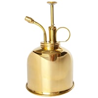 Pulverizator LianShi Auriu din Cupru pentru Flori - 300ml, Flacon Spray pentru Îngrijirea Plantelor de Interior - Pulverizator Flori Anti-Praf, Fără BPA 1