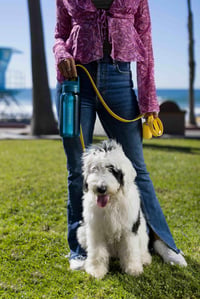 LifeStraw Go Series BPA-mentes szűrős vizes palack utazáshoz és mindennapi használatra – baktériumok, paraziták és mikroplasztikumok ellen 8