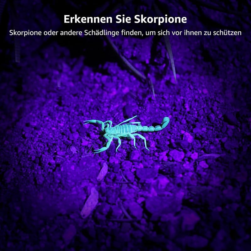Lighting EVER UV Zseblámpa 9 LED 395nm - Ultraibolya Elemlámpa Kisállat Vizelet, Folt és Poloska Felderítéshez - Alumínium Ház, 3 AAA Elemme