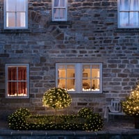 Lights4fun 60 LED-es Kerti Gömb Alakú Topiary Háló Lámpa - Kültéri, Elemes, Időzítővel, 8 Fényeffekttel, Zöld Színben 3