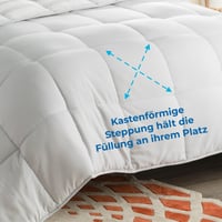 Linenspa poplun od mikrovlakana za 4 godišnja doba – Prošiveni pokrivač za cijelu godinu – Iznimno mekan – 135x200 cm, sivo-bijele pruge 2