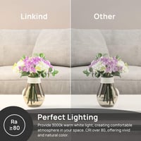 Linkind E14 LED Gömb Izzó, 5.2W (40W Ekvivalens), 3000K Meleg Fehér, 470lm, Energiatakarékos P45 Kisgömb, 15000 Órás Élettartam, 6 Darabos C 6