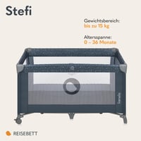 Cestovná postieľka Lionelo Stefi, od narodenia do 15 kg, skladacia prenosná detská postieľka 2