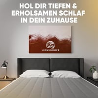 Lionsnooze 7kg Súlyozott Terápiás Takaró 135x200cm Bambusz Hypoallergén Üveggyöngy 7