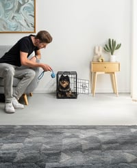 lionto Metalni transporter za pse i mačke, 45x31x36 cm, sklopivi kavez s plastičnom podlogom, pregradom i sigurnosnom bravom 2