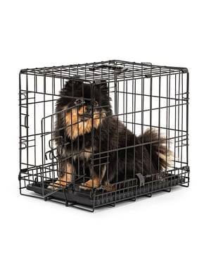 lionto Metalni transporter za pse i mačke, 45x31x36 cm, sklopivi kavez s plastičnom podlogom, pregradom i sigurnosnom bravom