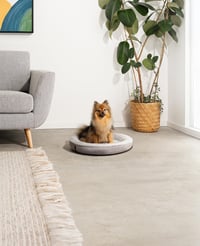 Pat pentru câini și pisici lionto, tip gogoașă rotundă, Ø 55 cm, gri - Pernă și culcuș moale pentru câini 2