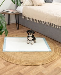 lionto Pelene za pse, podlošci za dresuru 60x90 cm 50 komada, 6-slojni higijenski podlošci s ljepljivim trakama za pse, nepropusni, plavo/bijeli 2