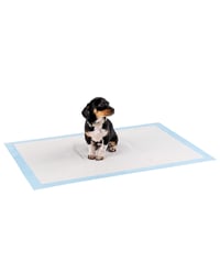lionto Pelene za pse, podlošci za dresuru 60x90 cm 50 komada, 6-slojni higijenski podlošci s ljepljivim trakama za pse, nepropusni, plavo/bijeli 1