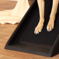 lionto Sklopiva auto rampa za pse 100x38 cm, crna, s protukliznom površinom, nosivosti 90 kg 4