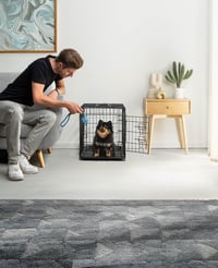 lionto Prepravný box pre psov a mačky, 61x44x51 cm, skladacia kovová prepravka s plastovou vaničkou, deliacou priečkou a bezpečnostným uzáverom 2
