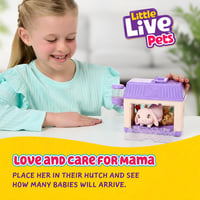 Little Live Pets Mama Surprise Minis zajačik – Staraj sa o zajačiu mamičku v jej domčeku a adopuj si 2, 3 alebo 4 bábätká 2