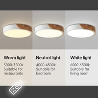 looluuloo LED Mennyezeti Lámpa Távirányítóval, 30W 3000lm, Kerek, Ultra Vékony, Dimmelhető, 3000-6000K, Fehér, 40 cm, Nappali Hálószoba Konyha Iroda 3